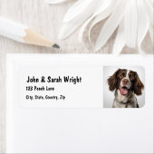 Custom Springer Spaniel Dog Address Label (Insitu)