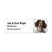 Custom Springer Spaniel Dog Address Label (Vorne)