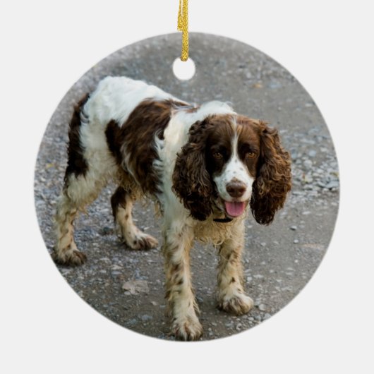 Custom Springer Spaniel Dog Foto Weihnachtsfeier Keramik Ornament (Hinten)