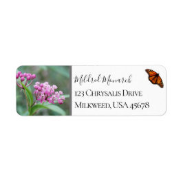 Custom Swamp Milkweed Foto Native Wildblume