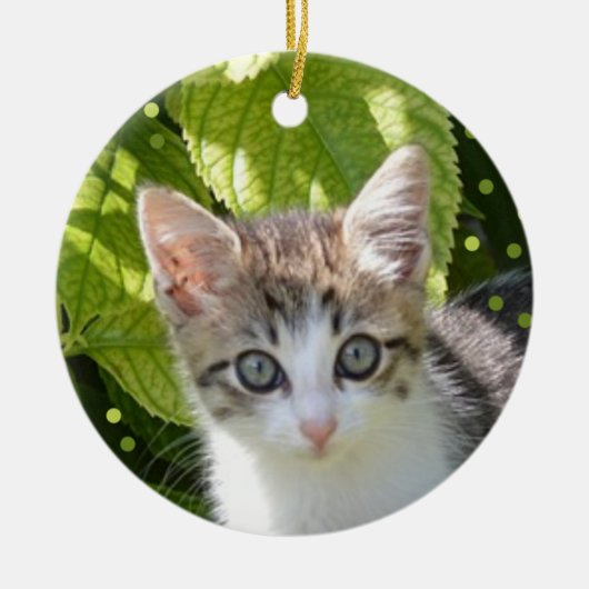 Custom Tabby Kitten Foto Keramik Ornament (Vorne)