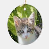 Custom Tabby Kitten Foto Keramik Ornament (Links)