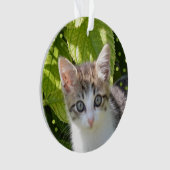 Custom Tabby Kitten Foto Ornament (Vorderseite)