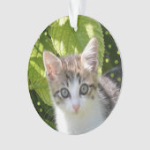 Custom Tabby Kitten Foto Ornament (Vorderseite)