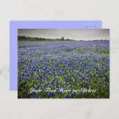 Custom Text Blue Spring Bluebonnets Texas Blume Postkarte (Vorne/Hinten)