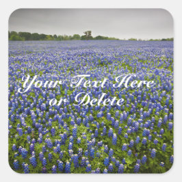 Custom Text Blue Spring Bluebonnets Texas Blume Quadratischer Aufkleber