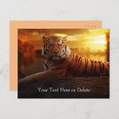 Custom Text Gorgeous Orange Wild Tiger Gold Sunset Postkarte (Vorne/Hinten)