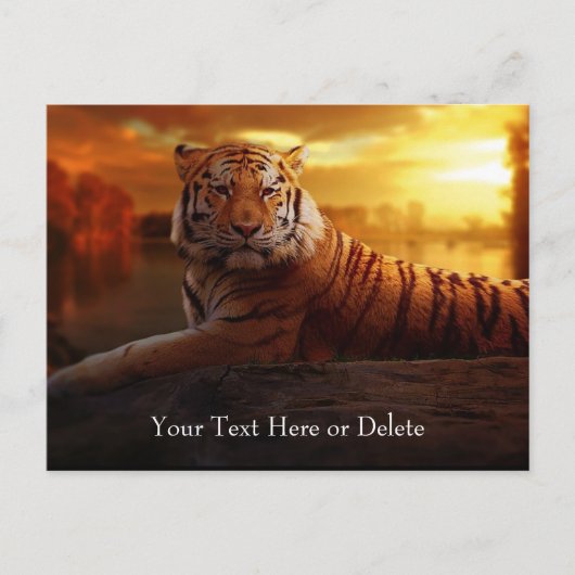 Custom Text Gorgeous Orange Wild Tiger Gold Sunset Postkarte (Vorderseite)