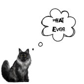 CUSTOM TEXT - Jungen, was auch immer - Katzen für T-Shirt