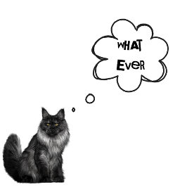 CUSTOM TEXT - Jungen, was auch immer - Katzen für T-Shirt