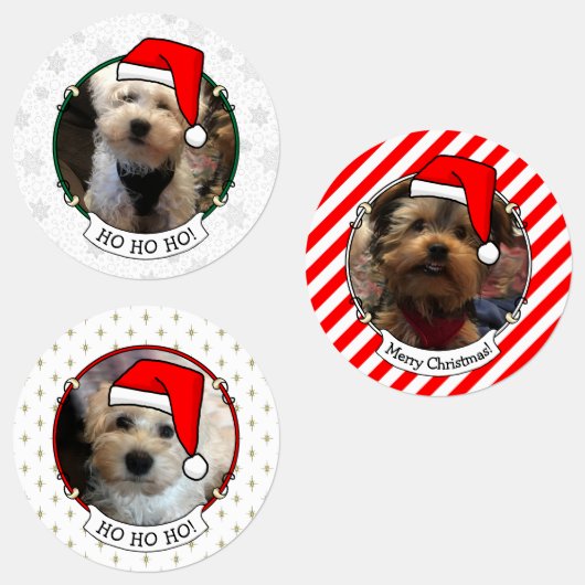Custom Three Foto Pet Weihnachts-Weihnachtsmannmüt Etiketten (Gruppe)