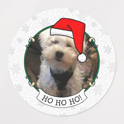 Custom Three Foto Pet Weihnachts-Weihnachtsmannmüt Etiketten (Design 1)