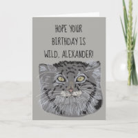 Custom Tibetan Pallas Cat Wild Birthday Card
