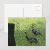 Custom Türkei Postkarten (Vorne/Hinten)