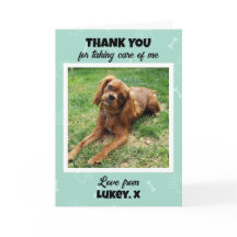 Custom Vet Tech Pet Care Foto Vielen Dank