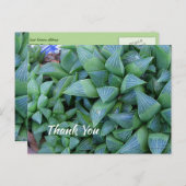 Custom Vielen Dank Green Succuled Pflanze Postcard Postkarte (Vorne/Hinten)