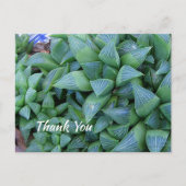 Custom Vielen Dank Green Succuled Pflanze Postcard Postkarte (Vorderseite)