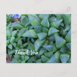 Custom Vielen Dank Green Succuled Pflanze Postcard Postkarte