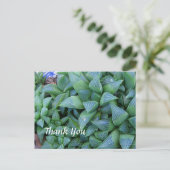 Custom Vielen Dank Haworthia Pflanze Postcard Postkarte (Stehend Vorderseite)