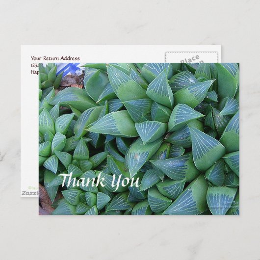 Custom Vielen Dank Haworthia Pflanze Postcard Postkarte (Vorne/Hinten)