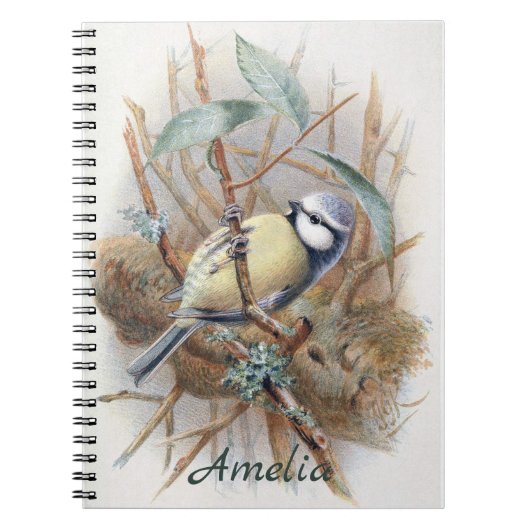 Custom Vintag Eurasian Blue Bird Note Book Notizblock (Vorderseite)