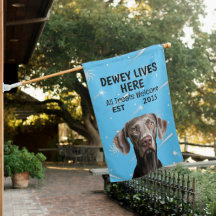 Custom Weimaraner