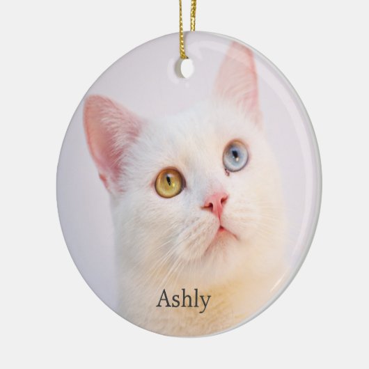 Custom White Cat Foto Personalisiert Keramik Ornament (Links)
