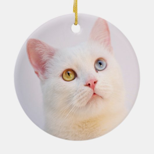 Custom White Cat Foto Personalisiert Keramik Ornament (Hinten)