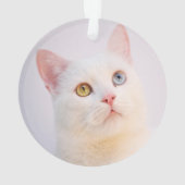 Custom White Cat Foto Personalisiert Ornament (Rückseite)
