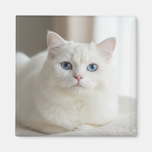 Custom white cat photo magnet for fridge (Vorne)
