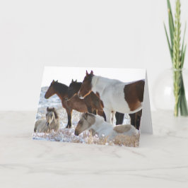 CUSTOM WILD PFERDE VON UTAH PINTOS IN SNOW Card Feiertagskarte