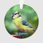 Custom Yellow=breasted Bird Foto Personalisiert Ornament (Vorderseite)
