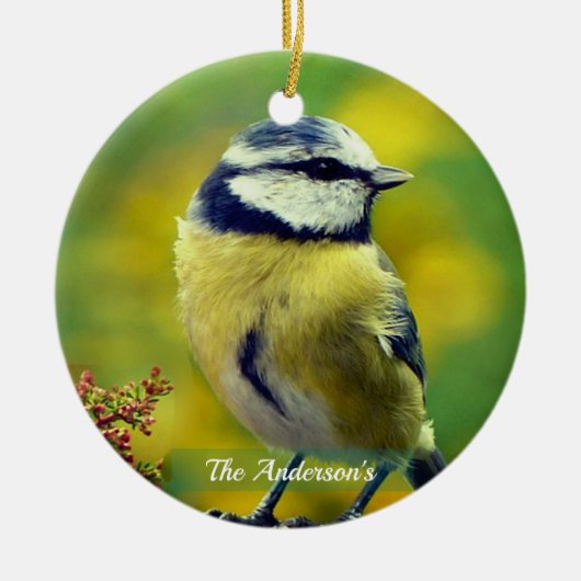 Custom Yellow breasted Blue Chat Foto Keramik Ornament (Vorne)