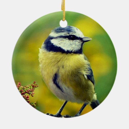 Custom Yellow breasted Blue Chat Foto Keramik Ornament (Hinten)