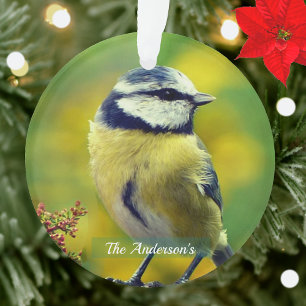Custom Yellow breasted Blue Chat Foto Ornament