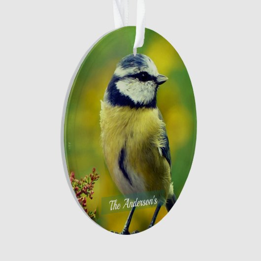Custom Yellow breasted Blue Chat Foto Ornament (Vorderseite)
