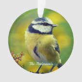 Custom Yellow breasted Blue Chat Foto Ornament (Vorderseite)