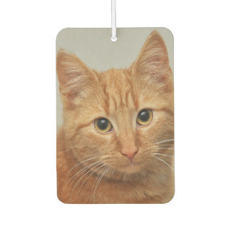CUSTOM YOUR CAT PHOTO AIR FRESHENER AUTOLUFTERFRISCHER