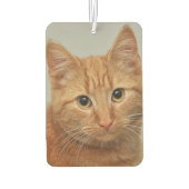 CUSTOM YOUR CAT PHOTO AIR FRESHENER AUTOLUFTERFRISCHER (Rückseite)