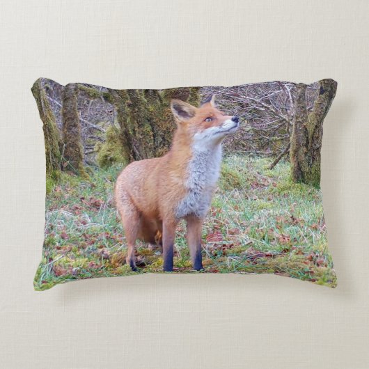 Customisable Red Fox Looking Up Cushion Dekokissen (Vorderseite)