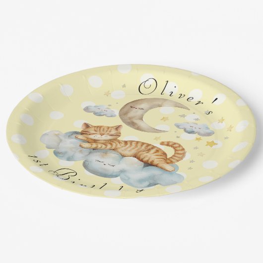 Customizable 1st Birthday Pappteller (Schrägansicht)