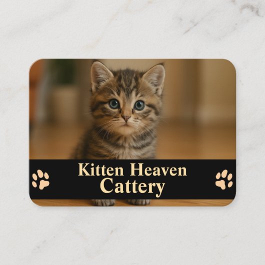 Customizable Business Card for Cattery Visitenkarte (Vorderseite)