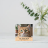 Customizable Cattery Business Card with Cat Photo Quadratische Visitenkarte (Stehend Vorderseite)