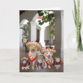 Customizable Cinco de Mayo Karte (Vorderseite)