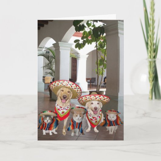 Customizable Cinco de Mayo Karte (Vorderseite)