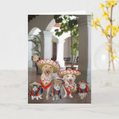 Customizable Cinco de Mayo Karte (Gelbe Blume)