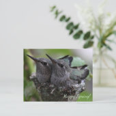 Customizable Cute Baby Hummingbirds Photo | Postkarte (Stehend Vorderseite)