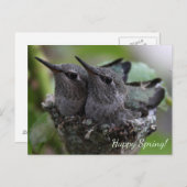 Customizable Cute Baby Hummingbirds Photo | Postkarte (Vorne/Hinten)