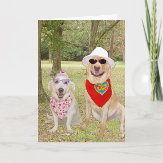 Customizable Funny Dogs Feiertagskarte (Vorderseite)