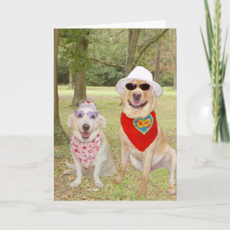 Customizable Funny Dogs Feiertagskarte
